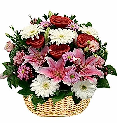  Türkiye Çiçekçiler 