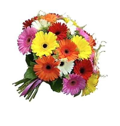  Türkiye Çiçekçiler 