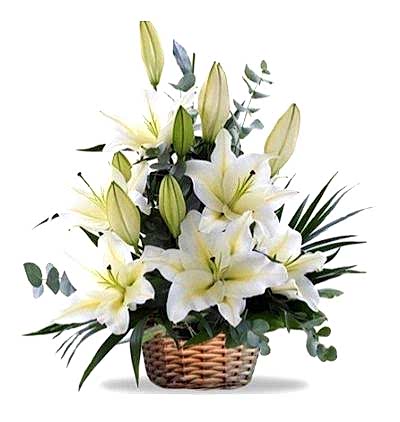  Türkiye Çiçek Gönder 