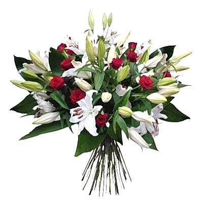  Türkiye Çiçek Siparişi 